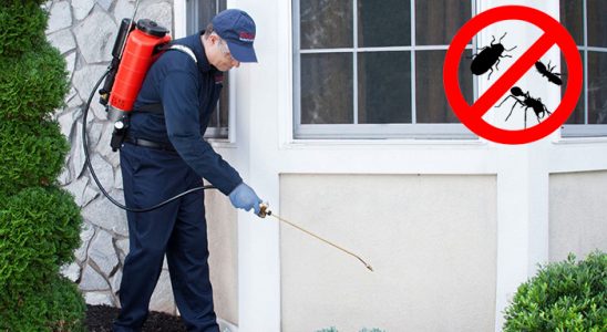 Hisarcık Kene İlaçlama böcek ilaçlama ve haşere kontrolü — ilaclama-tr.com